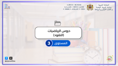 8 1