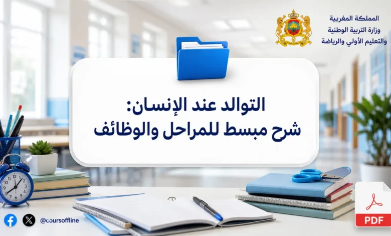 التوالد عند الإنسان: شرح مبسط للمراحل والوظائف