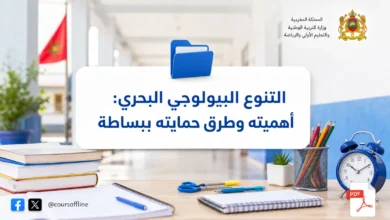 التنوع البيولوجي البحري: أهميته وطرق حمايته ببساطة