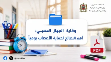 وقاية الجهاز العصبي: أهم النصائح لحماية الأعصاب يومياً