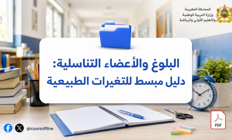 البلوغ والأعضاء التناسلية: دليل مبسط للتغيرات الطبيعية