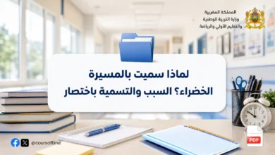 لماذا سميت بالمسيرة الخضراء؟ السبب والتسمية باختصار