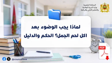 لماذا يجب الوضوء بعد اكل لحم الجمل؟ الحكم والدليل